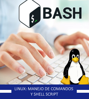 Curso bonificado de Linux: Manejo de comandos y Shell Script