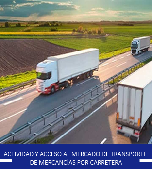 Curso online bonificado Actividad y acceso al mercado de transporte de mercancías por carretera