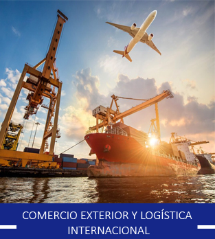 Curso online bonificado de Comercio Exterior y Logística Internacional